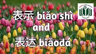 表示 biǎo shì and 表达 biǎodá grammar with example sentences || Easy Chinese grammar explanation