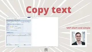 Best way how to copy a text in SAP ERP and SAP S4HANA