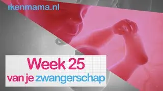 25 weken zwanger | ikenmama.nl