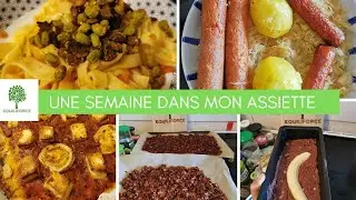 Une SEMAINE dans mon ASSIETTE PETIT BUDGET & VÉGÉ | LUNDI VERT N°298