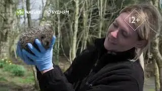 Анонсы и реклама (Viju Nature, 17.06.2023, 