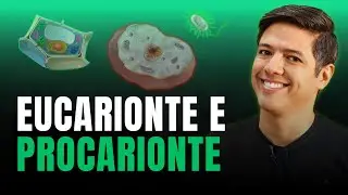 CÉLULAS EUCARIONTES E PROCARIONTES - DIFERENÇAS | Biologia com Kennedy Ramos