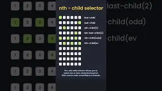 nth - child selector | nth-child(2) | nth-child(odd) | nth-child(even) |