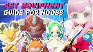 Pet Equipment Guide for Noobs - General Tips in Building ALL Your Pets | Ragnarok Origin Global