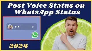 How to send voice status on whatsapp (2024) | How to put voice note on WhatsApp status