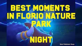 Best Moments In Florio Nature Park - Night Time (New Pokemon Snap)