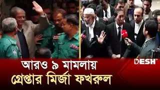 আরও ৯ মামলায় গ্রেপ্তার মির্জা ফখরুল | BNP | Mirza Fakhrul | News | Desh TV