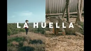 El lugar de las iguanas y venados |UMA: La huella|