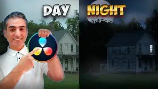 What Happens When Day Turns Into Night Instantly?