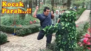 Dikira patung..!! Bushman prank jahil tapi lucu