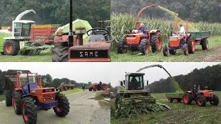 Same chopping corn