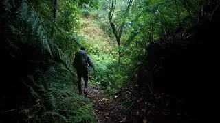 Hike from Boca das Voltas Camp | Madeira