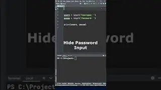 Easy Hide Password Input in Python