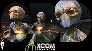 XCOM Enemy Within and XCOM 2 - Joining the Squad and Other Campaign Details