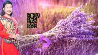 Dương Hồng Loan Mới Nhất - Không Quảng Cáo