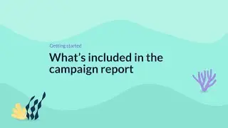 What's included in the campaign report