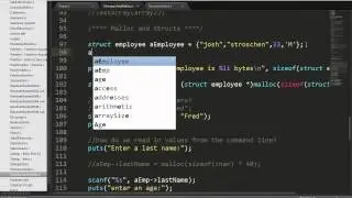 Lecture 15 - Malloc and Structs