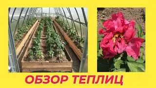 ПОЕЗДКА В ПИТОМНИК ЗА РАСТЕНИЯМИ / ОБЗОР ВСЕХ ТЕПЛИЦ