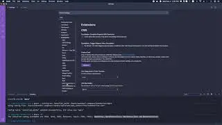 Setting up WPCS and VS Code Settings (Mac)