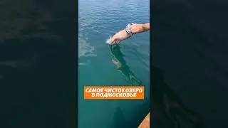 🔥 Самое чистое озеро для купания в Подмосковье 😎🌊 