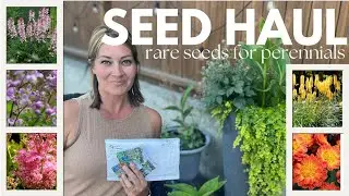 Seed Haul || Rare seeds to find for perennials