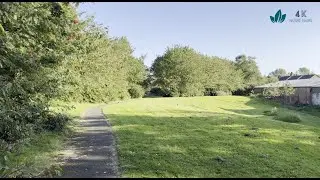 Exploring the quiet field beside a skate park