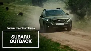 Subaru Outback – Subaru, Especie Protegida