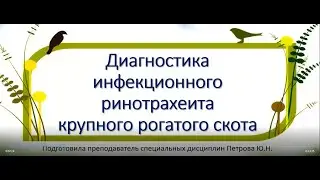 Петрова Ю.Н.Онлайн-урок - Диагностика ИРТ КРС