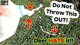 Most Likely The Best DEER REPELLANT Know To MAN! Other Pests/Creatures Hate It Too!
