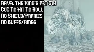 Aava, the Kings Pet SL1 CoC No Roll No Hit (No Buffs/Rings) | Dark Souls 2 SOTFS