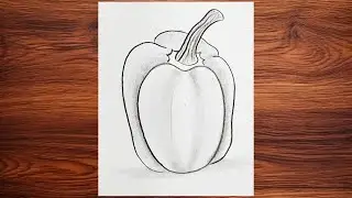 How to draw capsicum | easy pencil sketch | Vegetable drawing