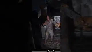 КИРПИЧ ИМБА в The Last of Us Part I 