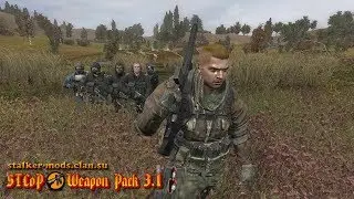 Отряд Z - STCoP Weapon Pack 3.1 + Аддоны