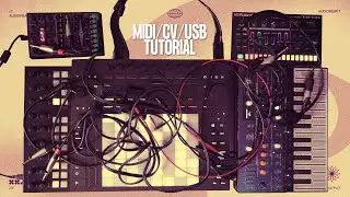 Ableton Push 3 Tutorial : Input & Output (CV, Midi, Usb)