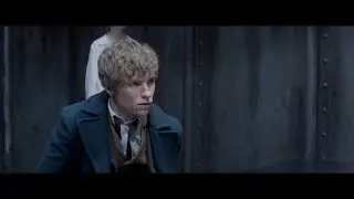 Видео с IMAX фан-сессии фильма 