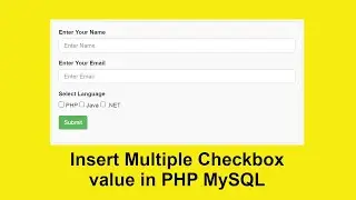 How to insert checkbox value in PHP and MySQL with Source Code