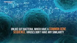 Human's gut virus composition is as unique as a fingerprint: Study
