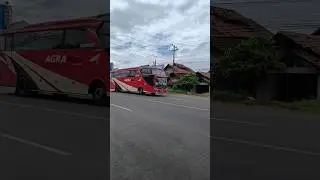 AGRA MAS Bus Indonesia #busholic #busindonesia #publictransport #busmaniacomunity #bus #busmania