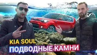 5 БОЛЯЧЕК Kia Soul / На что смотреть при покупке / Подводные камни