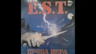 Проба пера. Э.С.Т. Винил.