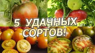 5 УДАЧНЫХ СОРТОВ СЕЗОНА!