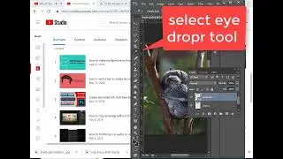 select color outside of phothsop Photoshop Tips