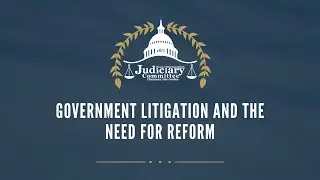 Government Litigation and the Need for Reform