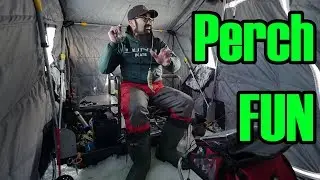 Cooks Bay Perch Ice Fishing