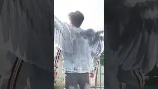 Blender Wings VFX