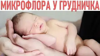 МИКРОФЛОРА У ГРУДНИЧКА | Лакто и бифидобактерии для новорожденных | Как избежать дисбактериоза