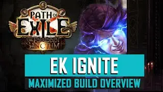 [POE 3.20] High end EK Ignite Build Overview