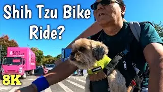 Biking from JACKSON HEIGHTS to CENTRAL PARK with My Favorite Shihtzu Honey!जैक्सन हाइट्स बाइक यात्रा