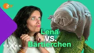 Diese Superkräfte hat das Bärtierchen | Terra X plus