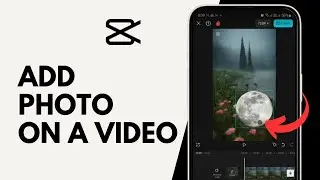 How to Add Photo on a Video Using Capcut